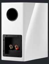 Dynaudio Evoke10 White High Gloss Hangsugárzó #4