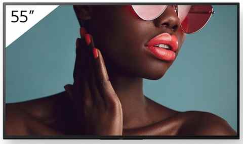 Sony Bravia FW-55BZ40L