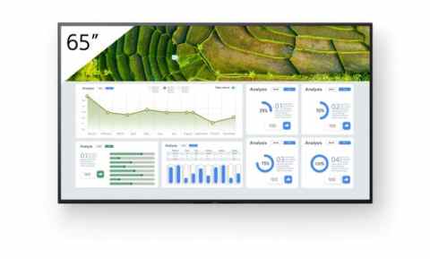 Sony Bravia FW-65BZ30L
