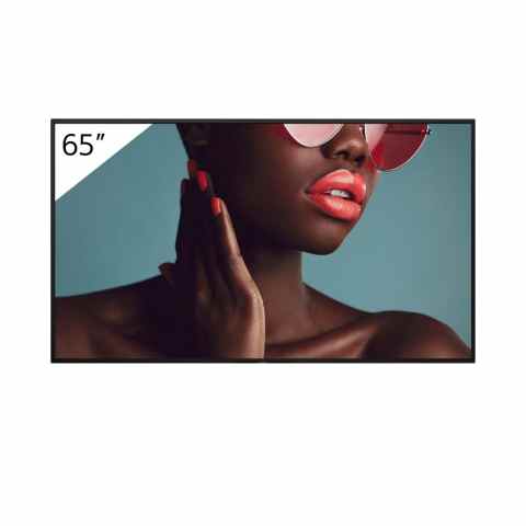 Sony Bravia FW-65BZ40L